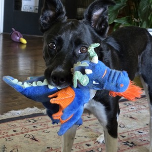 Fundraising Page: Kristin Grieshaber